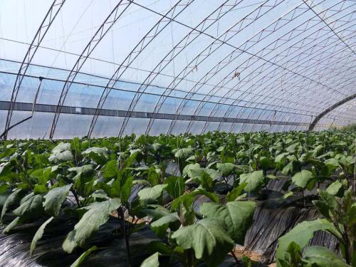 受阻胺光穩(wěn)定劑292可用在uv涂料里嗎